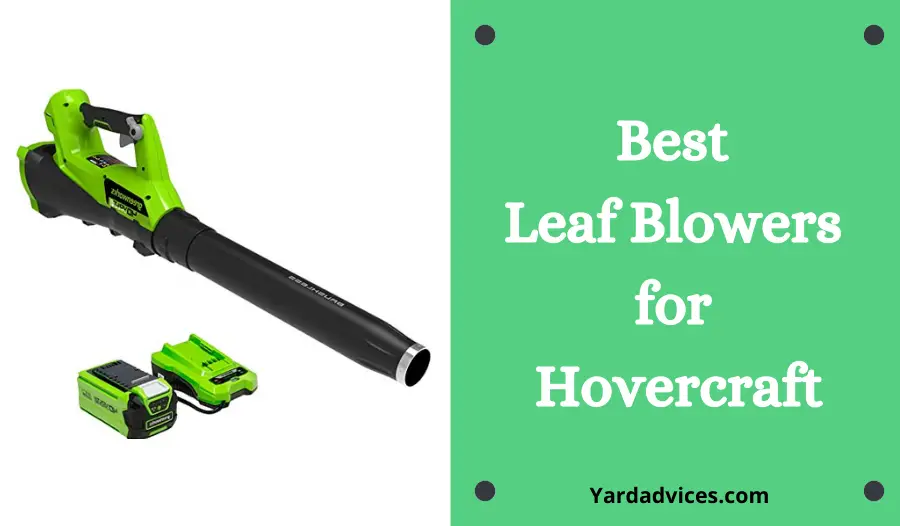 Best Leaf Blowers for Hovercraft