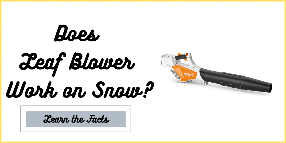 Does Leaf Blower Work on Snow?