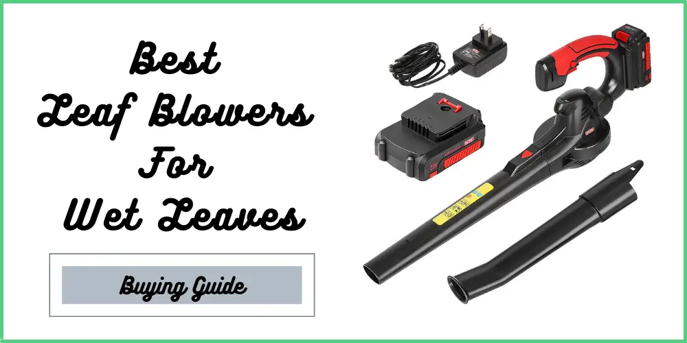 Best Leaf Blowers For Wet Leaves
