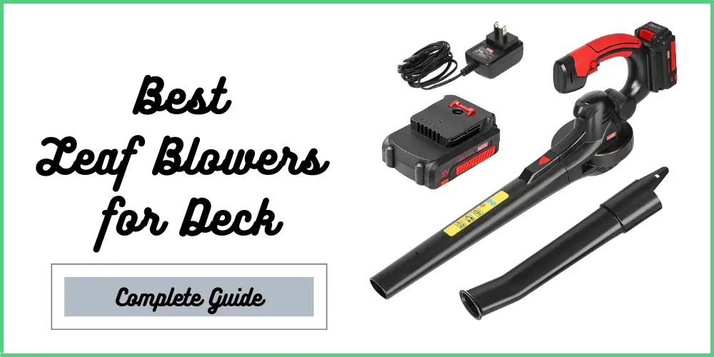 Best Leaf Blowers for Deck