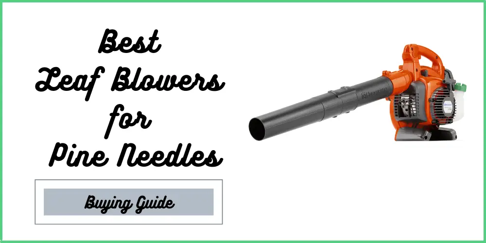 Best Leaf Blowers for Pine Needles