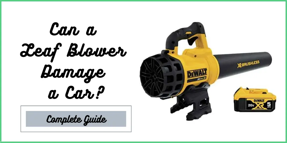 Can a Leaf Blower Damage a Car?