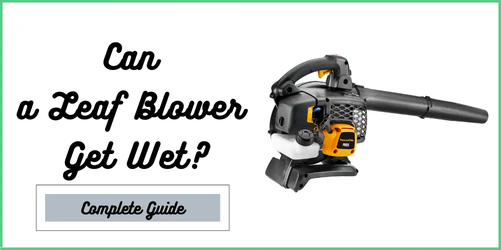 Can a Leaf Blower Get Wet?