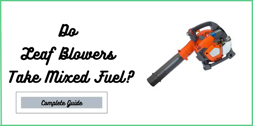 Do Leaf Blowers Take Mixed Fuel?