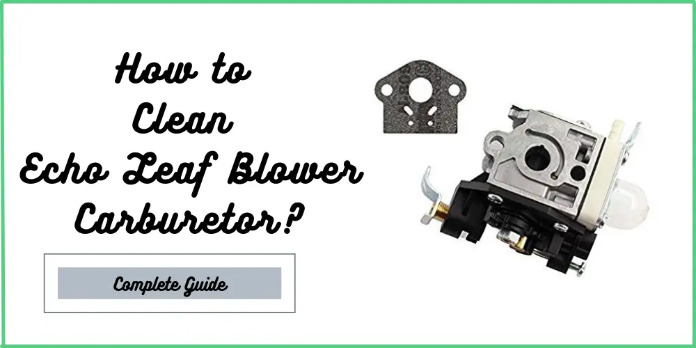 How to Clean Echo Leaf Blower Carburetor?