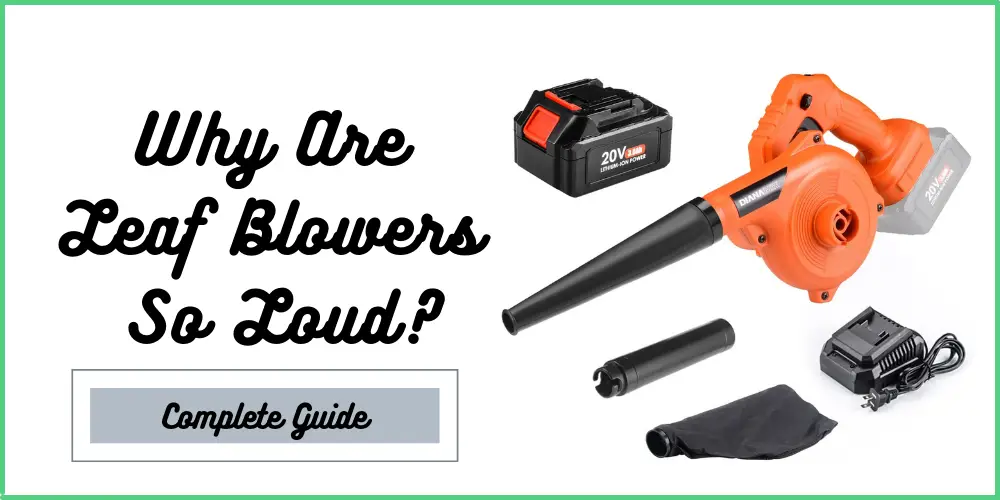 Why Are Leaf Blowers So Loud?