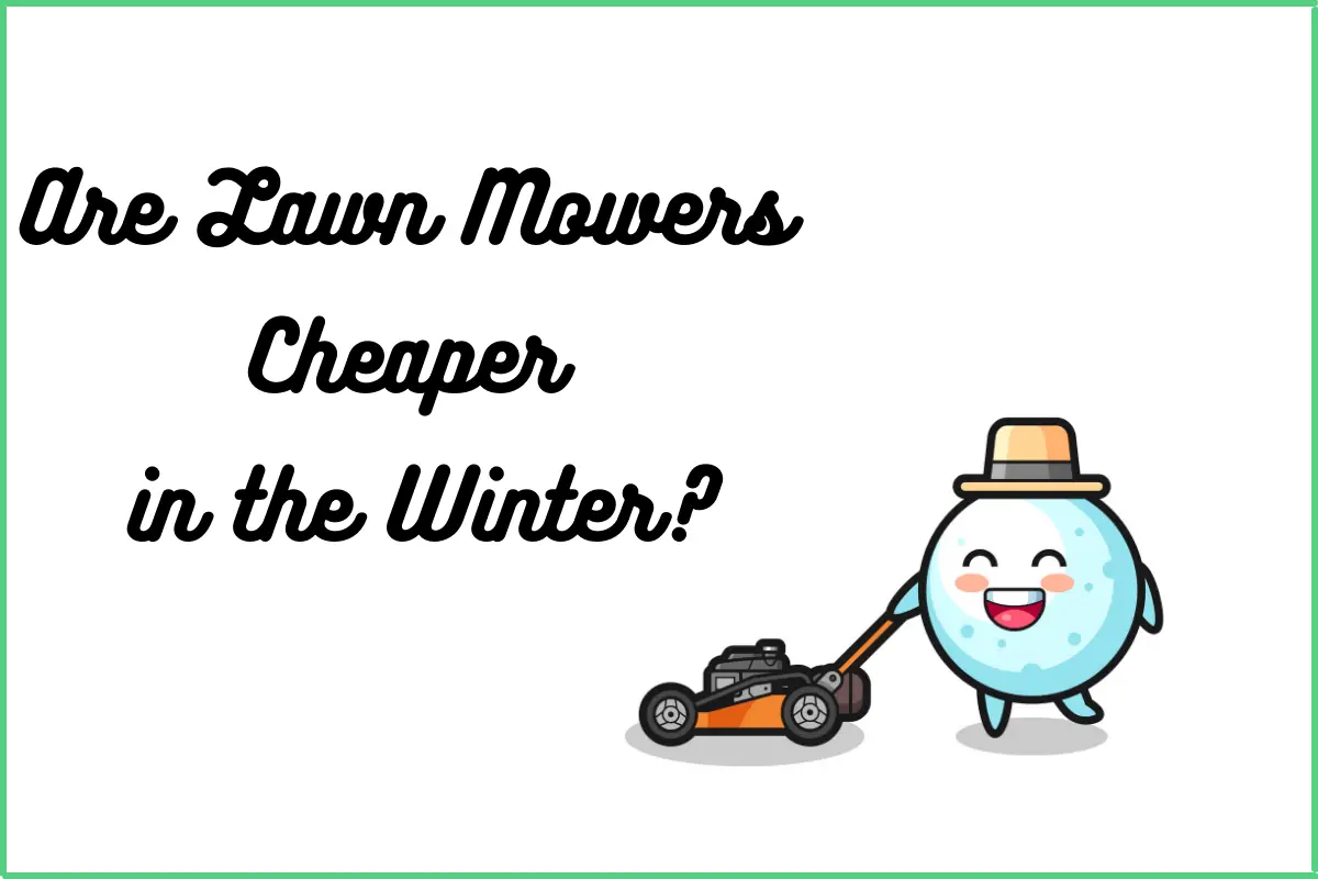 Are Lawn Mowers Cheaper in the Winter?