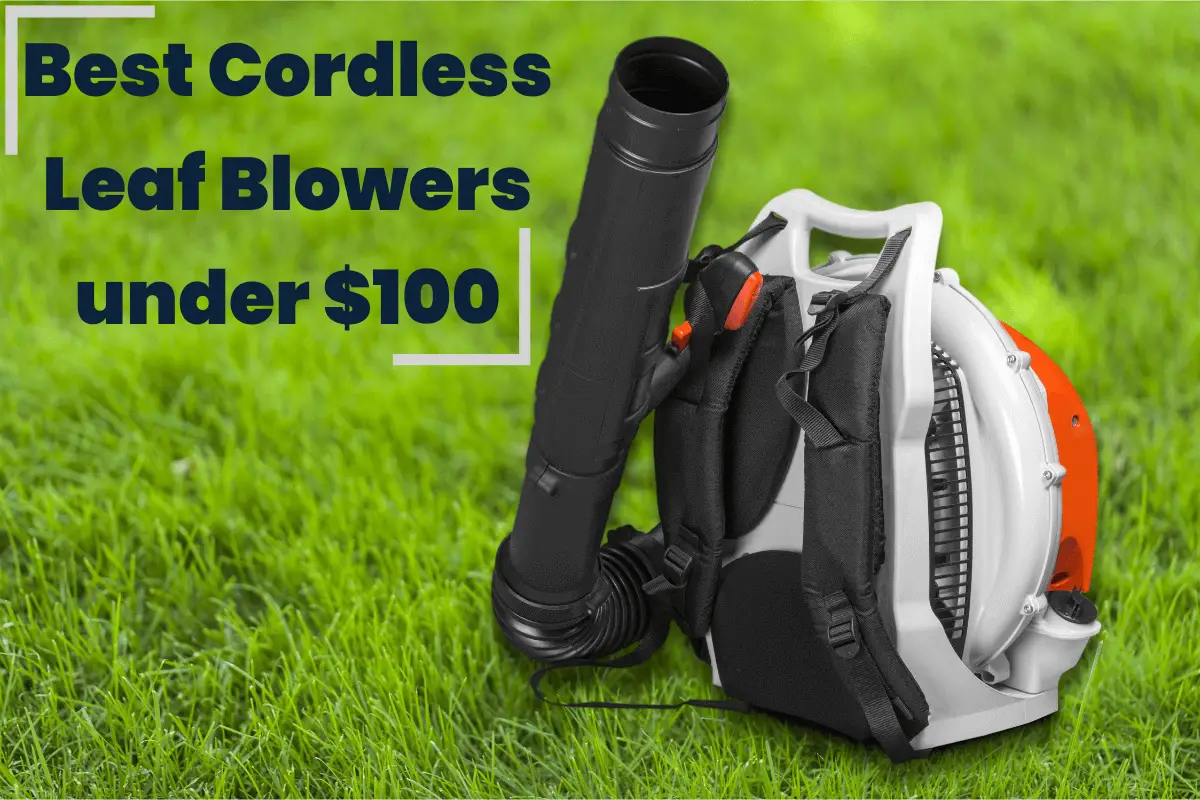 Best Cordless Leaf Blowers under $100