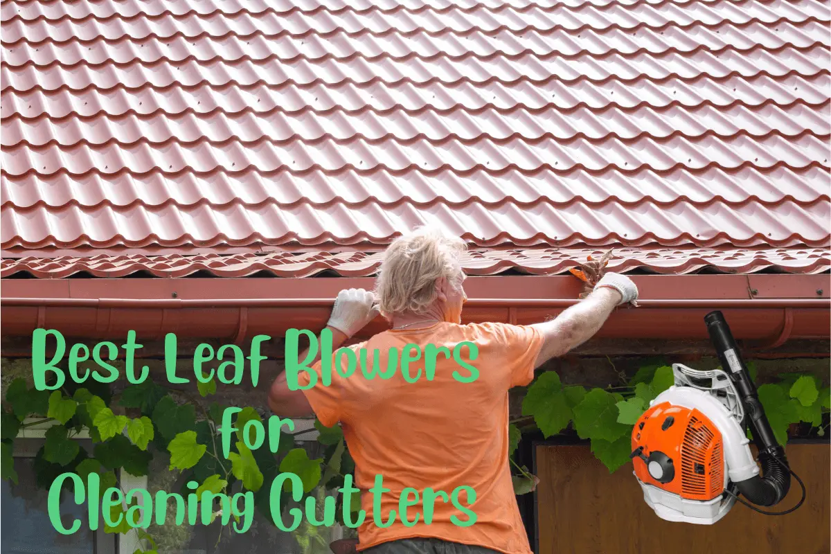 Best Leaf Blowers for Cleaning Gutters