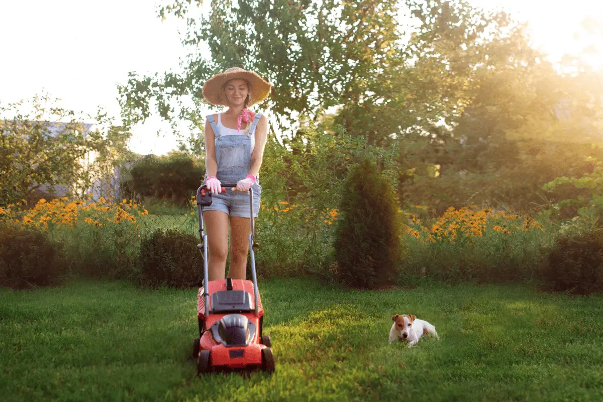 Should You Mow the Lawn While Pregnant?