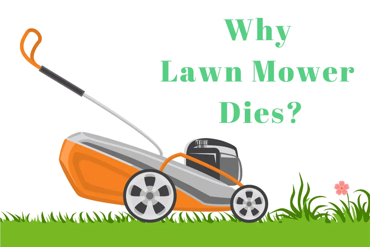 Why Lawn Mower Dies?