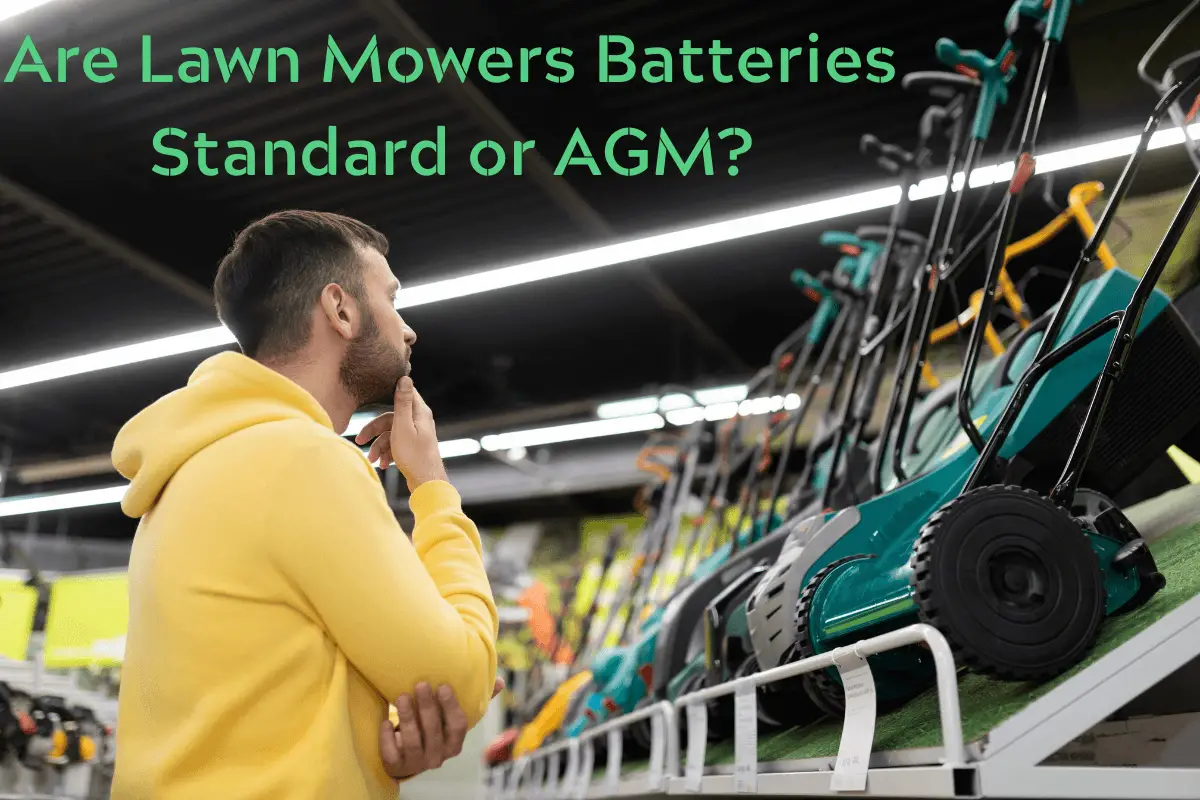 Are Lawn Mowers Batteries Standard or AGM?