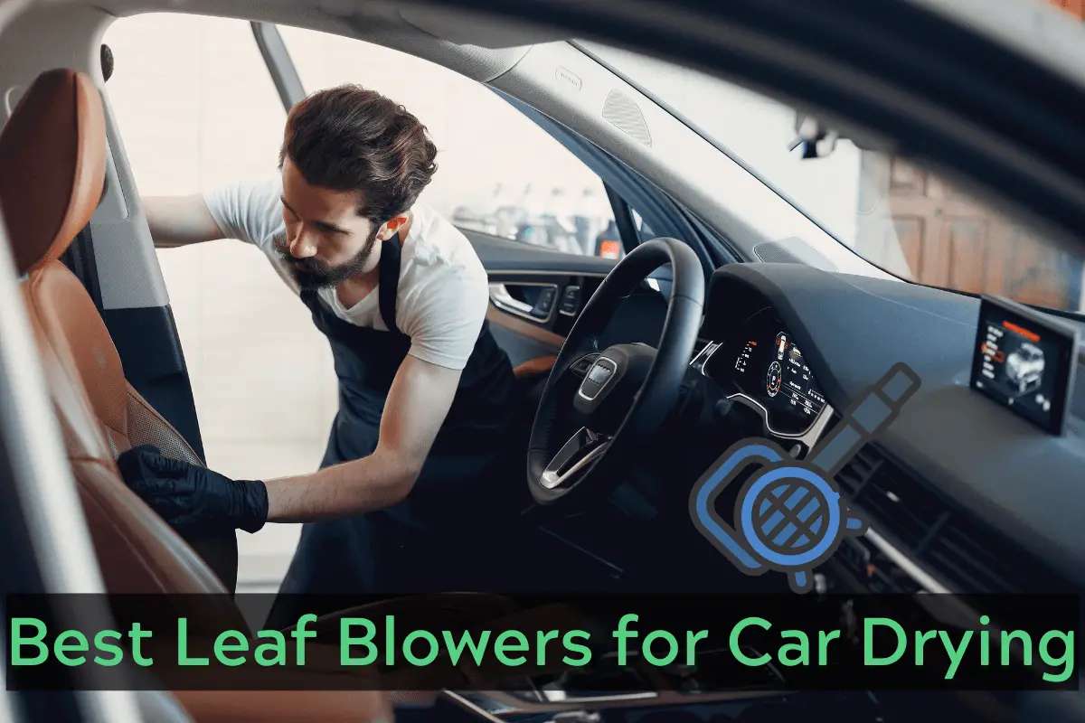 Best Leaf Blowers for Car Drying