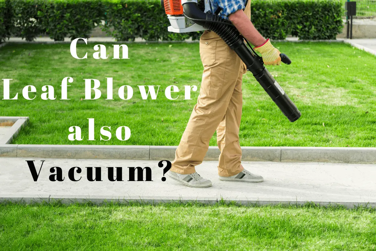 Can a Leaf Blower also Vacuum?