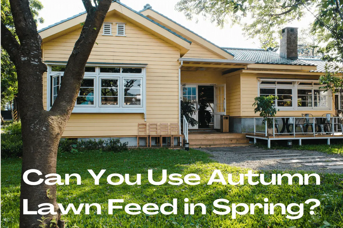 Can You Use Autumn Lawn Feed in Spring?