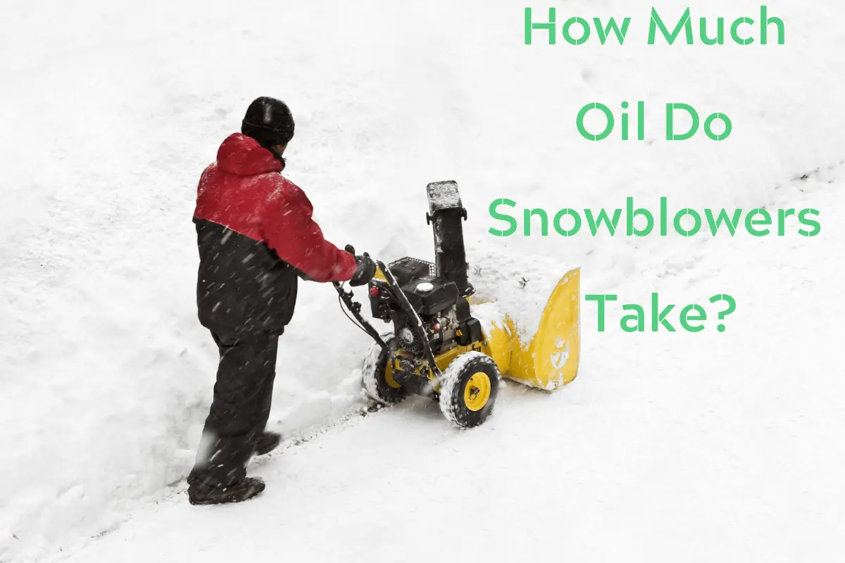 How Much Oil Do Snowblowers Take?