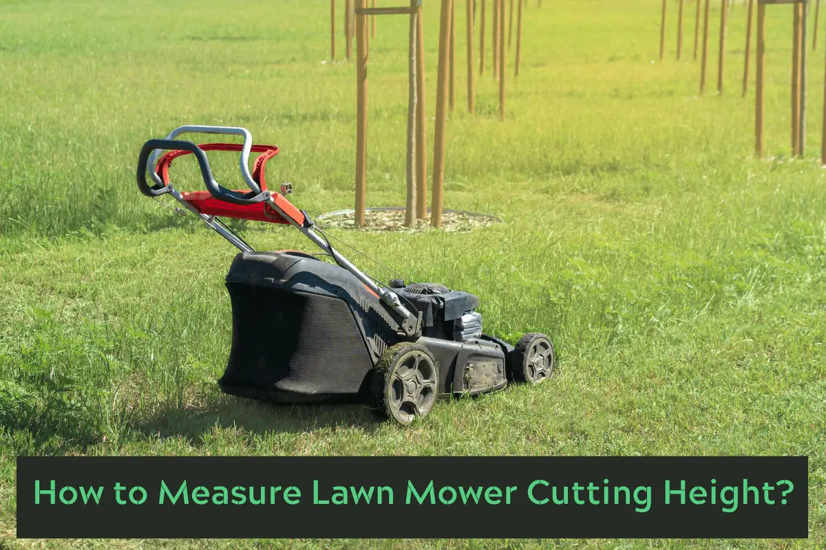 How to Measure Lawn Mower Cutting Height?
