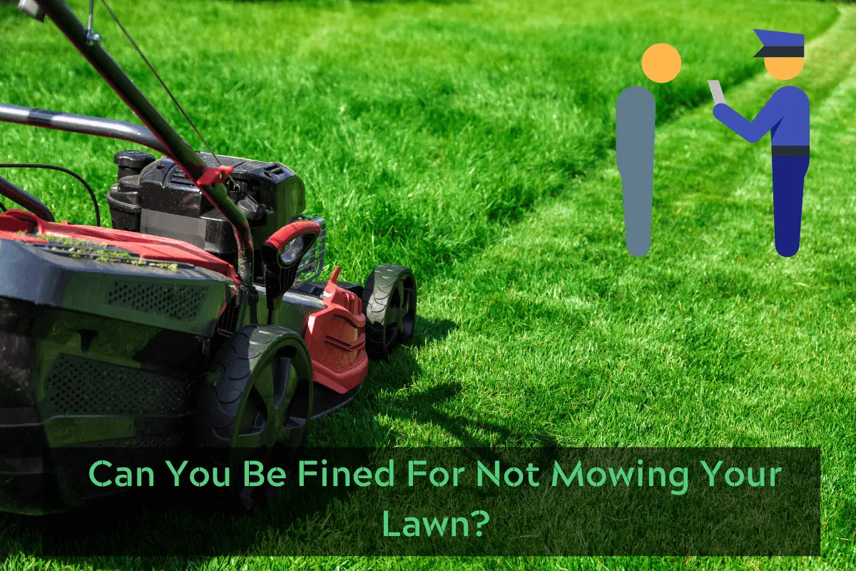 Can You Be Fined For Not Mowing Your Lawn?