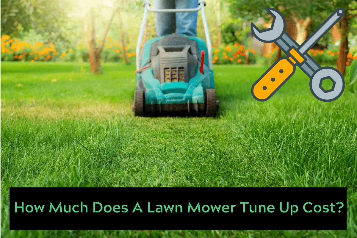 Lawn Mower Tune Up Cost