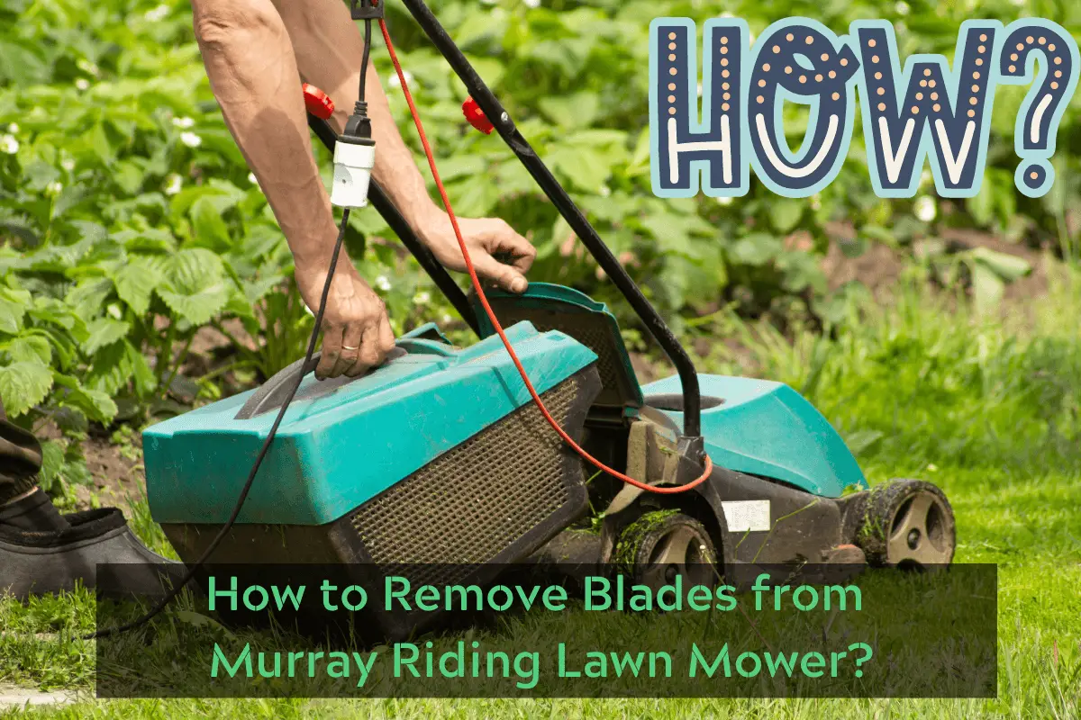 How to Remove Blades from Murray Riding Lawn Mower?