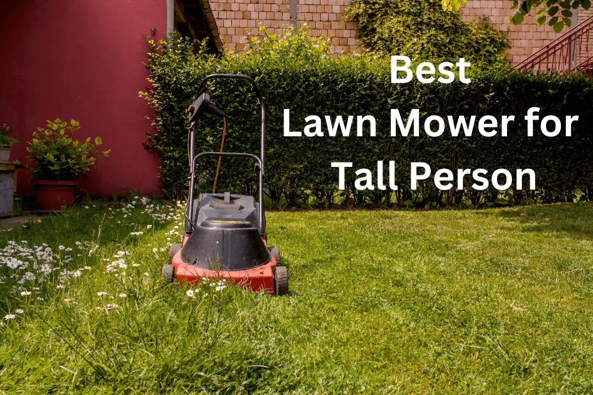 Best Lawn Mower for Tall Person
