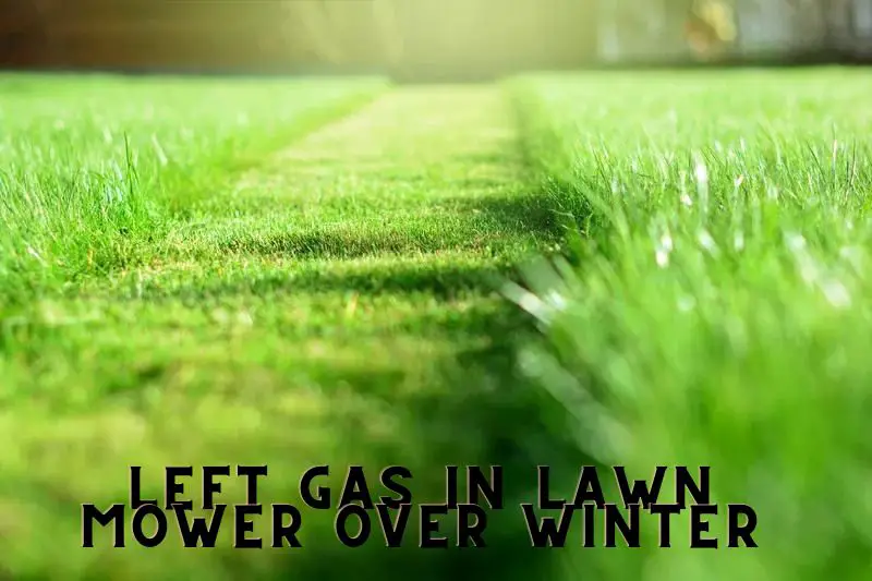 Left Gas in Lawn Mower Over Winter 