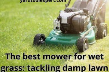 Best mower for wet grass: choose the perfect tool